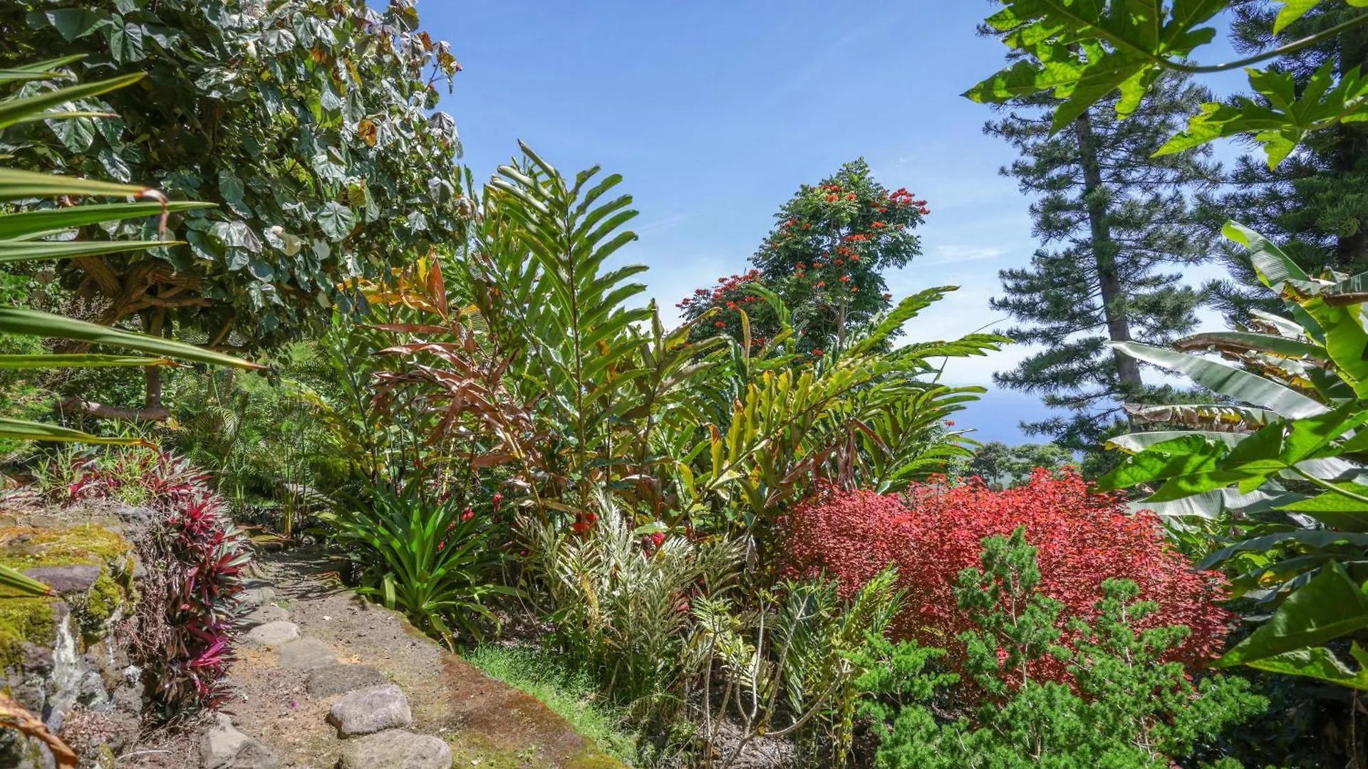 Hale Mauka Villa Captain Cook Vakantiehuis